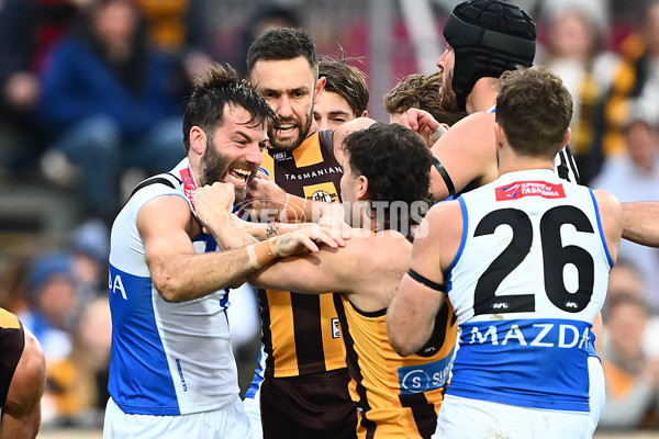 AFL 2025 Round 16 - Hawthorn v North Melbourne - A-60250973