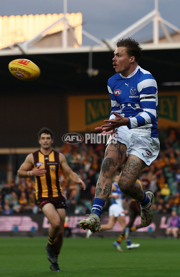 AFL 2025 Round 16 - Hawthorn v North Melbourne - A-60250982