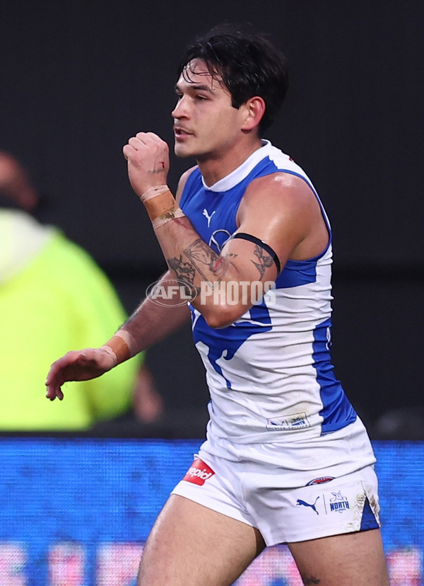AFL 2025 Round 16 - Hawthorn v North Melbourne - A-60250985