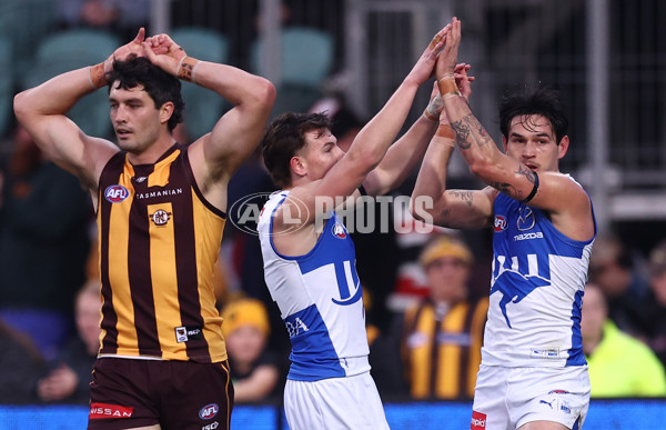 AFL 2025 Round 16 - Hawthorn v North Melbourne - A-60250986