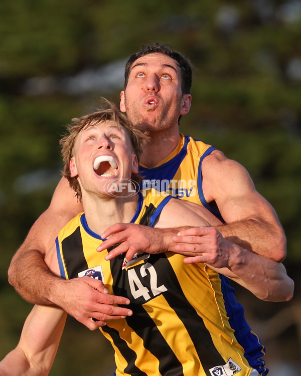 VFL 2025 Round 14 - Williamstown v Sandringham - A-60250991