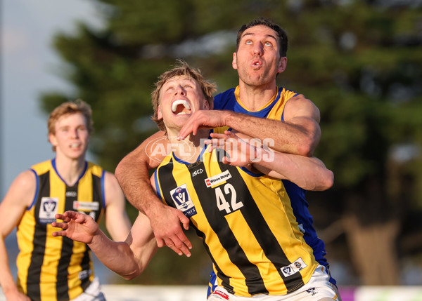 VFL 2025 Round 14 - Williamstown v Sandringham - A-60250994