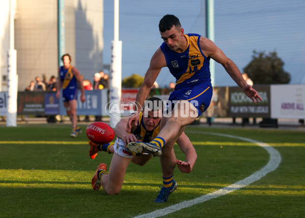 VFL 2025 Round 14 - Williamstown v Sandringham - A-60251004
