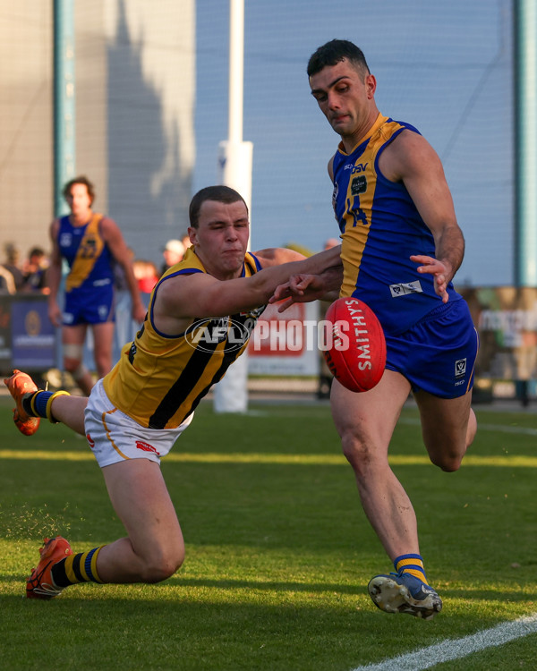 VFL 2025 Round 14 - Williamstown v Sandringham - A-60251017