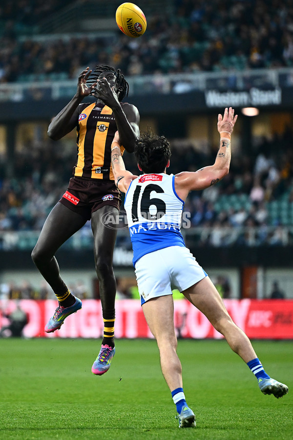 AFL 2025 Round 16 - Hawthorn v North Melbourne - A-60251037