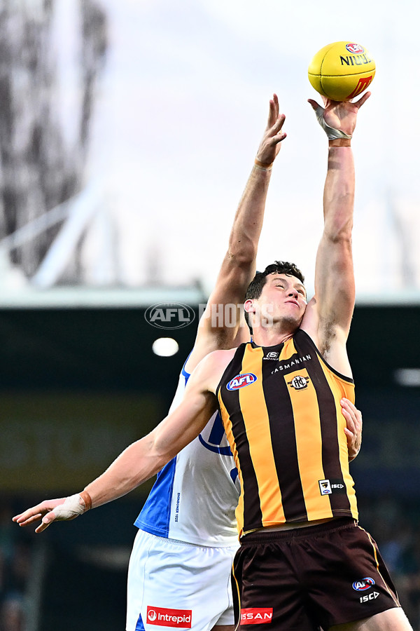 AFL 2025 Round 16 - Hawthorn v North Melbourne - A-60251039