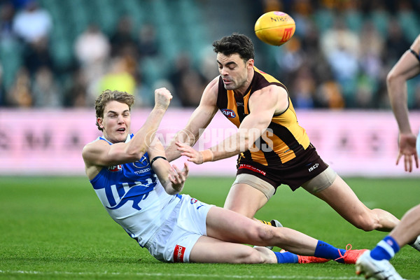 AFL 2025 Round 16 - Hawthorn v North Melbourne - A-60251652