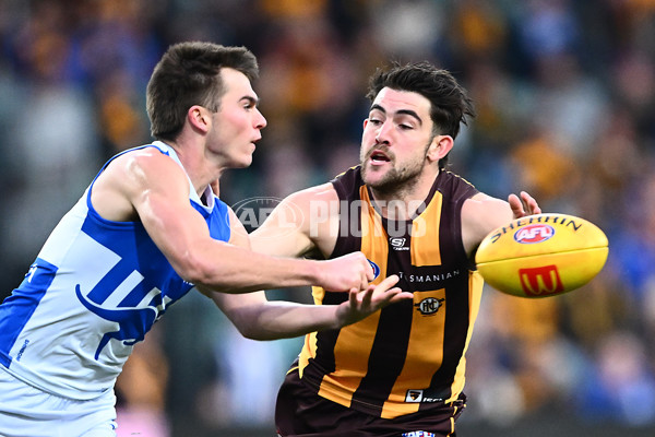 AFL 2025 Round 16 - Hawthorn v North Melbourne - A-60251654