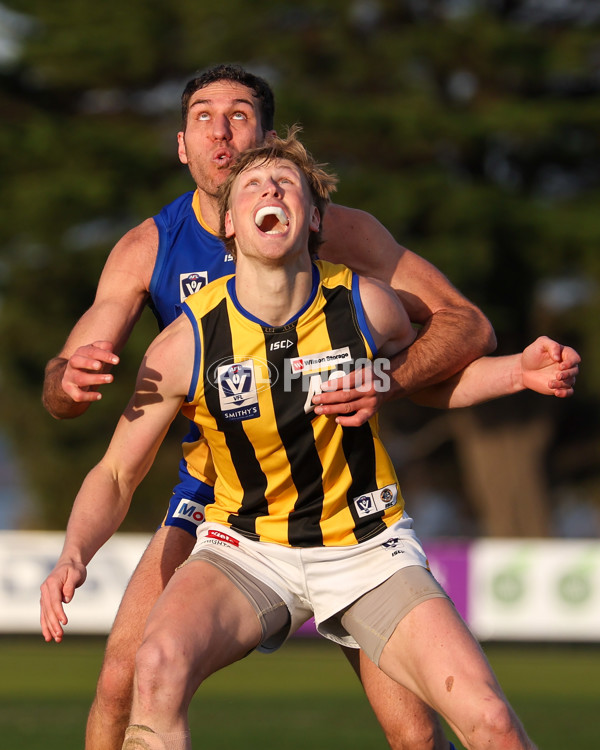 VFL 2025 Round 14 - Williamstown v Sandringham - A-60251666