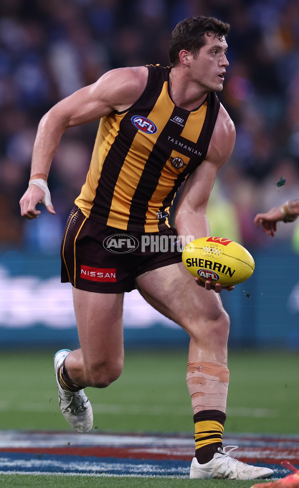 AFL 2025 Round 16 - Hawthorn v North Melbourne - A-60251674