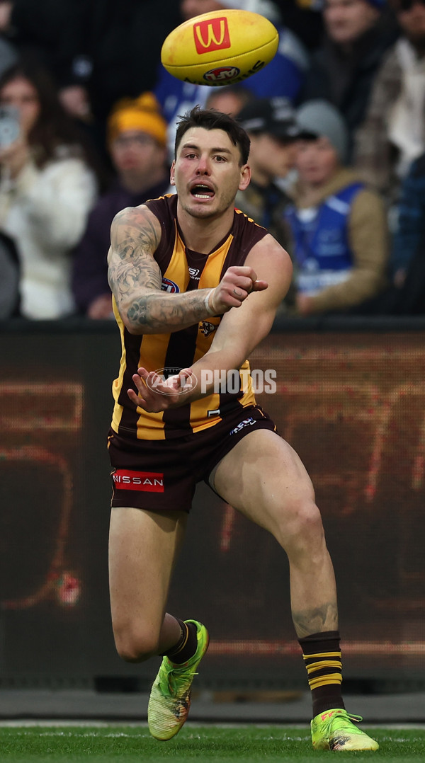 AFL 2025 Round 16 - Hawthorn v North Melbourne - A-60251683