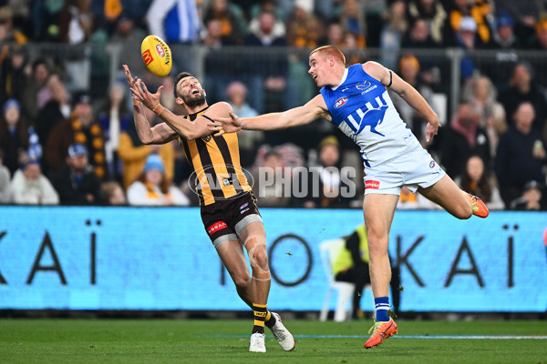 AFL 2025 Round 16 - Hawthorn v North Melbourne - A-60251685