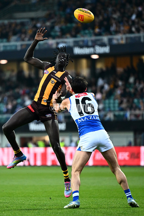 AFL 2025 Round 16 - Hawthorn v North Melbourne - A-60251694
