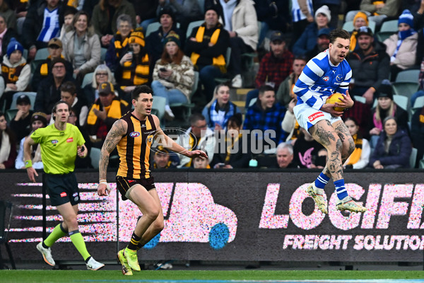 AFL 2025 Round 16 - Hawthorn v North Melbourne - A-60251706