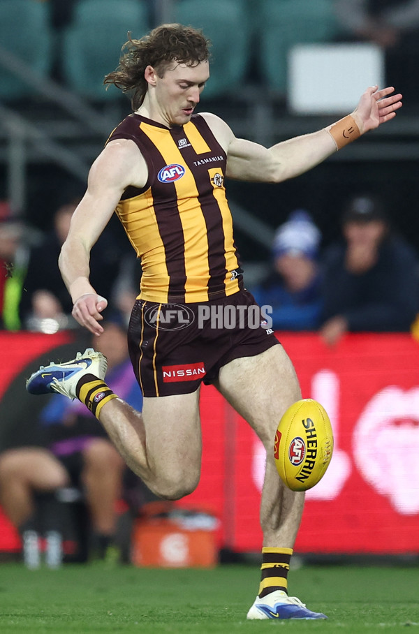 AFL 2025 Round 16 - Hawthorn v North Melbourne - A-60251711