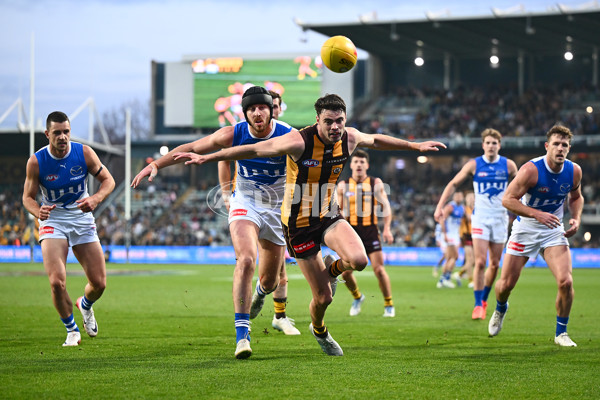 AFL 2025 Round 16 - Hawthorn v North Melbourne - A-60251713