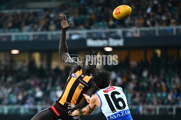 AFL 2025 Round 16 - Hawthorn v North Melbourne - A-60251720