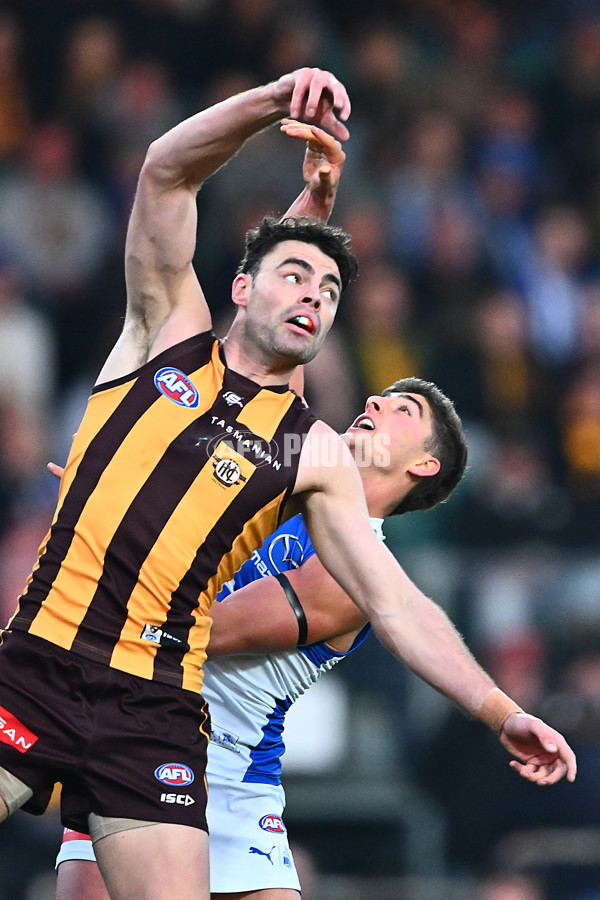 AFL 2025 Round 16 - Hawthorn v North Melbourne - A-60251724