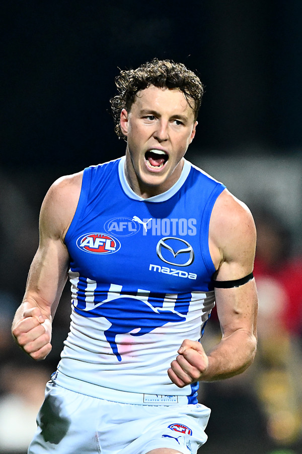 AFL 2025 Round 16 - Hawthorn v North Melbourne - A-60251747