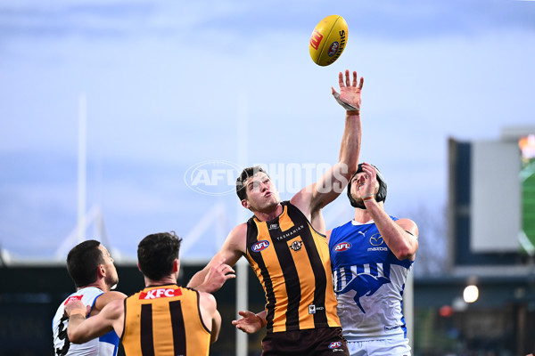 AFL 2025 Round 16 - Hawthorn v North Melbourne - A-60253479