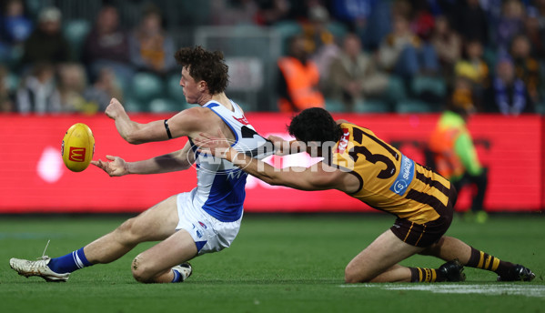 AFL 2025 Round 16 - Hawthorn v North Melbourne - A-60253505