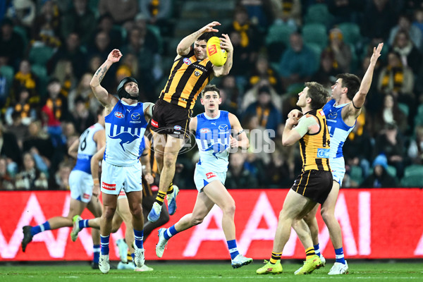 AFL 2025 Round 16 - Hawthorn v North Melbourne - A-60253512