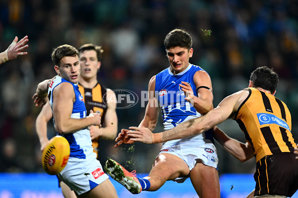 AFL 2025 Round 16 - Hawthorn v North Melbourne - A-60253519