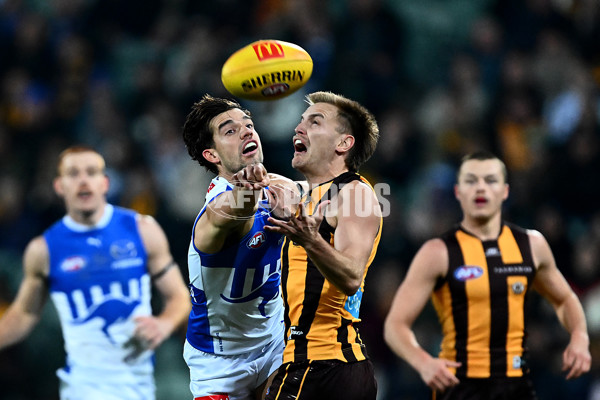 AFL 2025 Round 16 - Hawthorn v North Melbourne - A-60253543