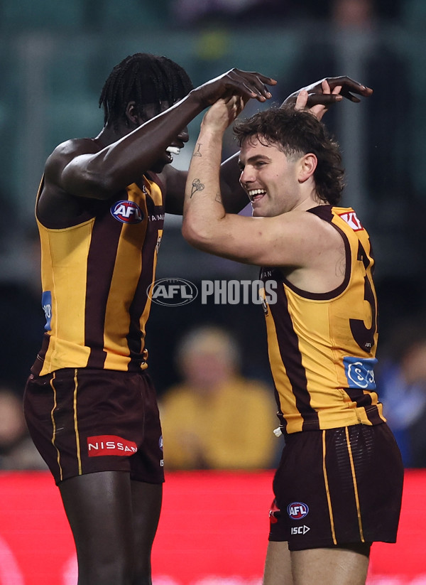 AFL 2025 Round 16 - Hawthorn v North Melbourne - A-60253549