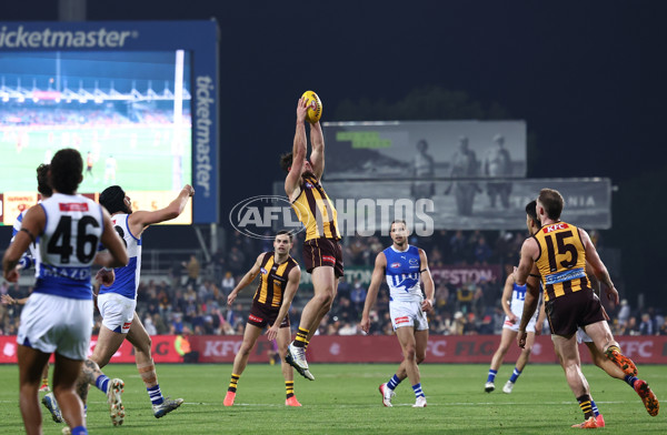 AFL 2025 Round 16 - Hawthorn v North Melbourne - A-60253559