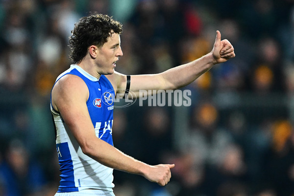 AFL 2025 Round 16 - Hawthorn v North Melbourne - A-60254492