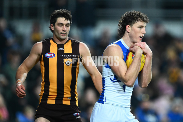 AFL 2025 Round 16 - Hawthorn v North Melbourne - A-60254495