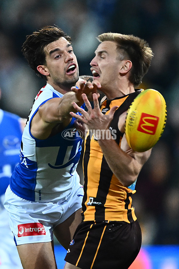 AFL 2025 Round 16 - Hawthorn v North Melbourne - A-60254504