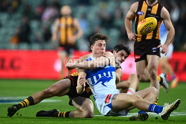 AFL 2025 Round 16 - Hawthorn v North Melbourne - A-60254512