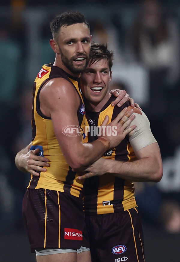 AFL 2025 Round 16 - Hawthorn v North Melbourne - A-60254525