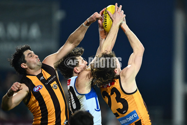 AFL 2025 Round 16 - Hawthorn v North Melbourne - A-60254528