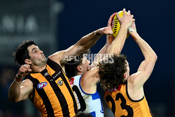 AFL 2025 Round 16 - Hawthorn v North Melbourne - A-60254529