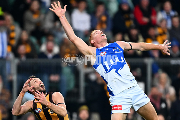 AFL 2025 Round 16 - Hawthorn v North Melbourne - A-60254537