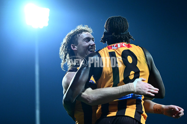 AFL 2025 Round 16 - Hawthorn v North Melbourne - A-60254557