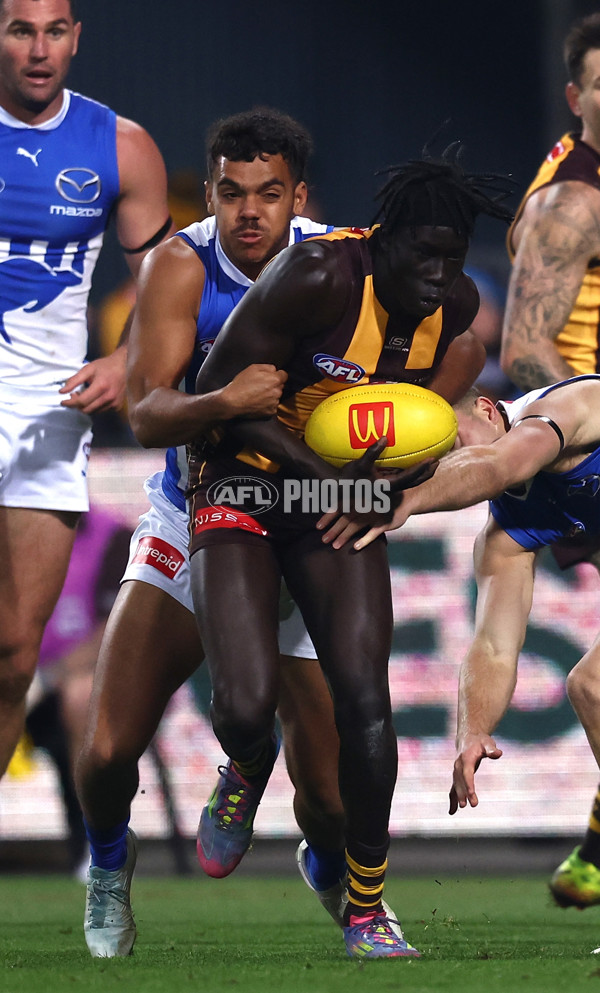 AFL 2025 Round 16 - Hawthorn v North Melbourne - A-60254559