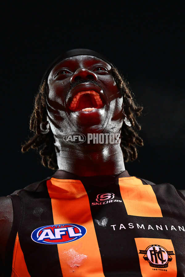 AFL 2025 Round 16 - Hawthorn v North Melbourne - A-60254565