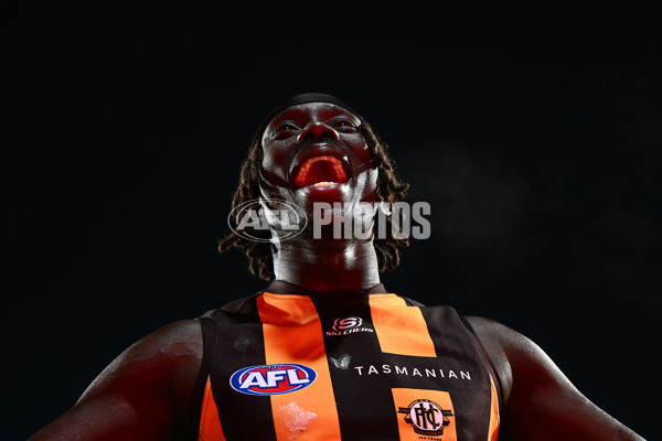 AFL 2025 Round 16 - Hawthorn v North Melbourne - A-60254566