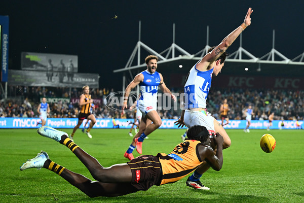 AFL 2025 Round 16 - Hawthorn v North Melbourne - A-60254572