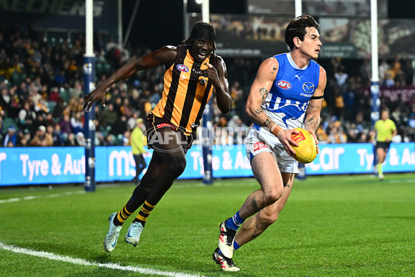 AFL 2025 Round 16 - Hawthorn v North Melbourne - A-60254575