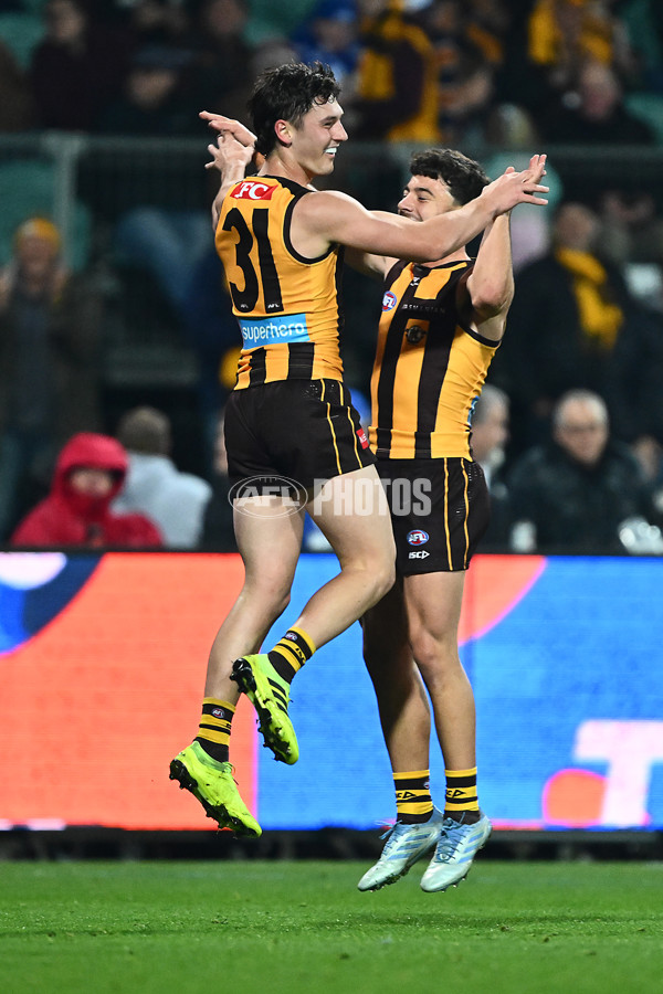 AFL 2025 Round 16 - Hawthorn v North Melbourne - A-60254577