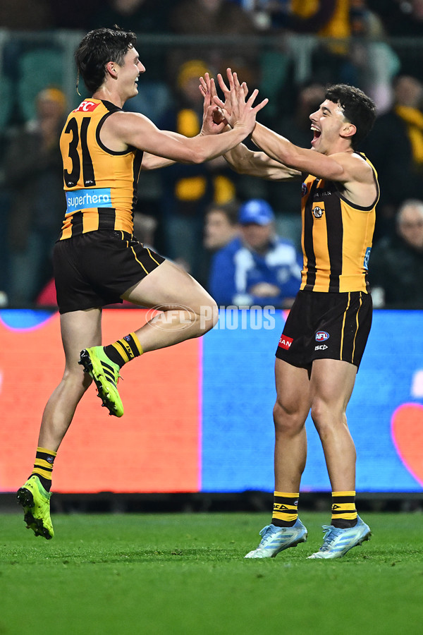 AFL 2025 Round 16 - Hawthorn v North Melbourne - A-60254578