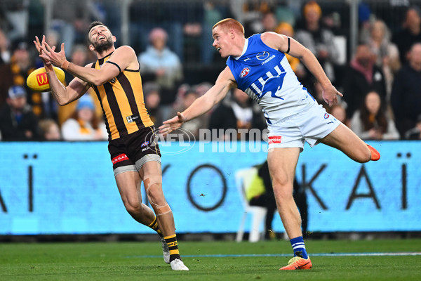 AFL 2025 Round 16 - Hawthorn v North Melbourne - A-60255893