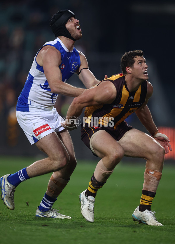 AFL 2025 Round 16 - Hawthorn v North Melbourne - A-60255900