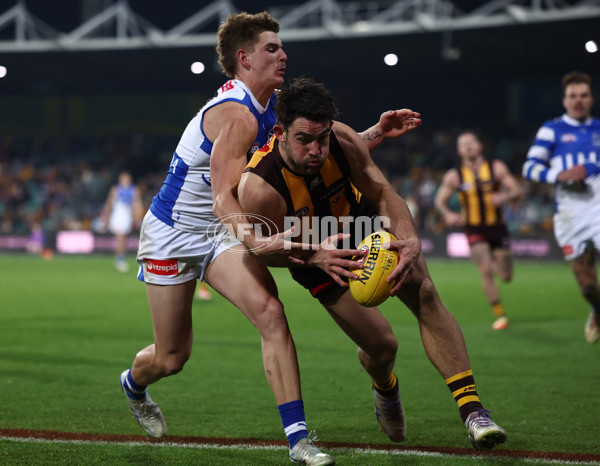 AFL 2025 Round 16 - Hawthorn v North Melbourne - A-60255904