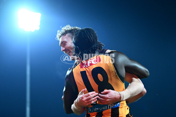 AFL 2025 Round 16 - Hawthorn v North Melbourne - A-60255909